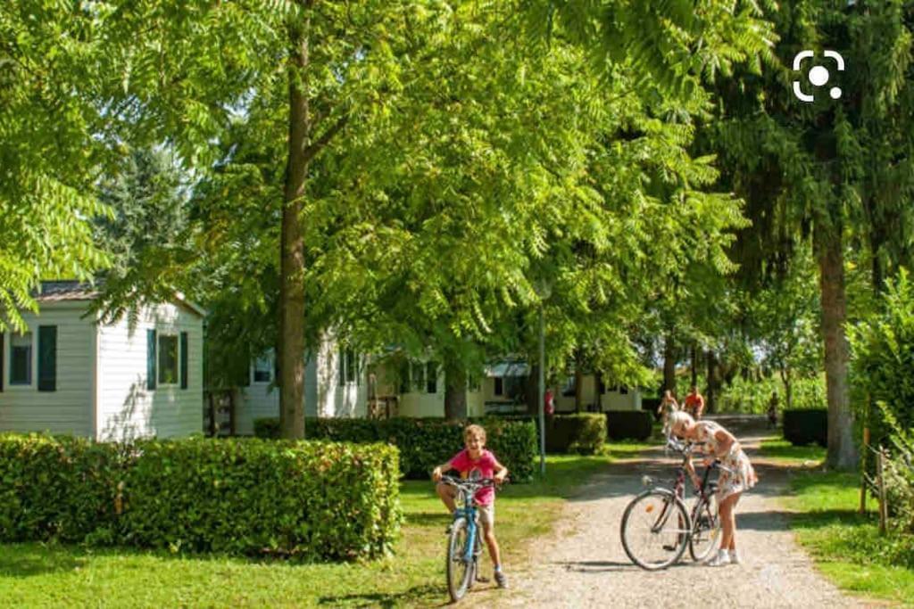 Location Mh Situee A 15 Mn D Europa Park Et Rulantika Apartamento Boofzheim Exterior foto